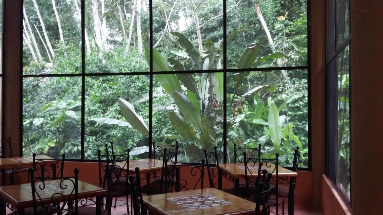 Canto De La Selva Jungle Lodge Selva Lacandona Chiapas Galaxia Buitenkant foto